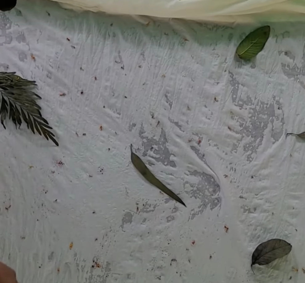 Eco Printed Jacket 01